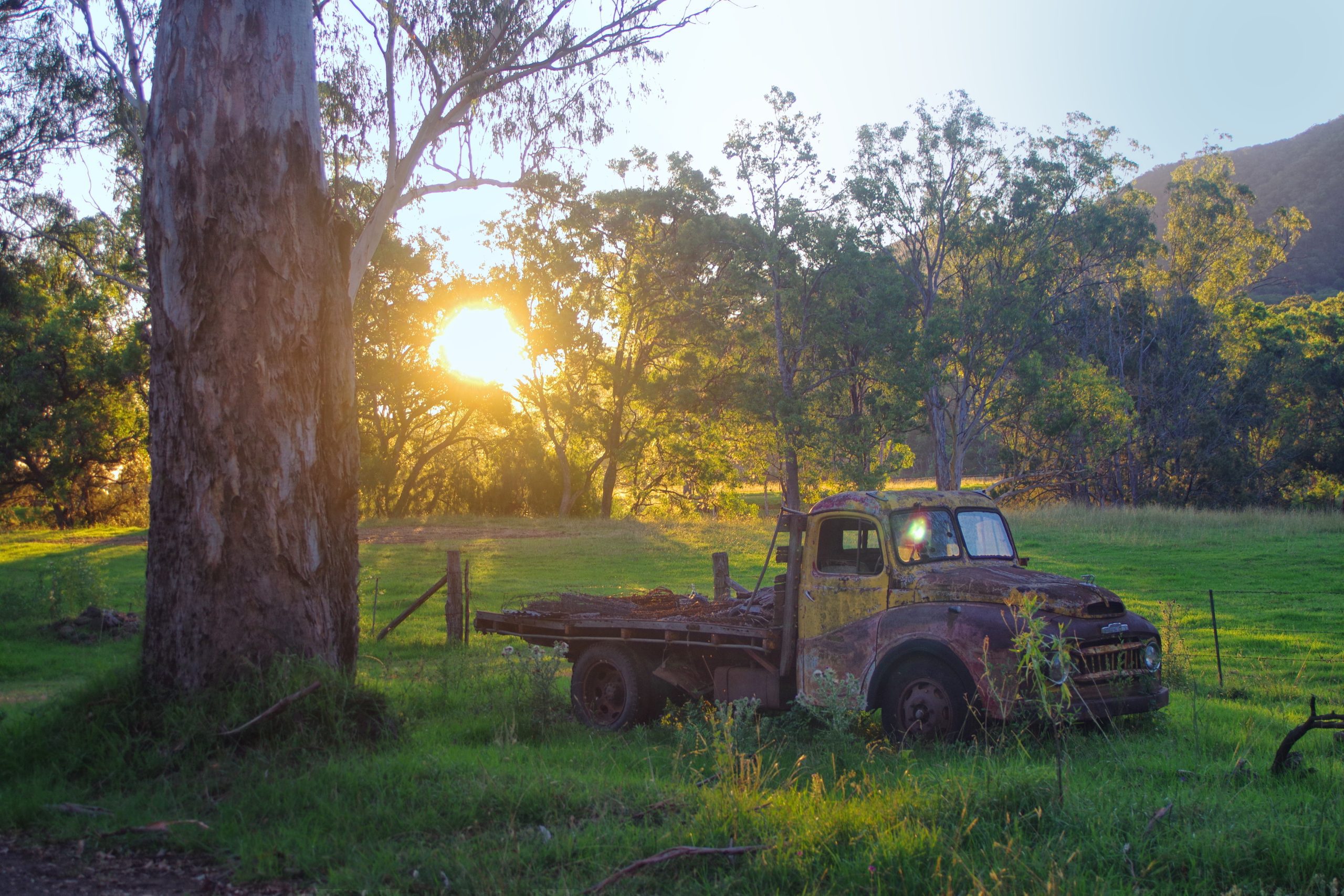Upper Swanfels Valley Queensland